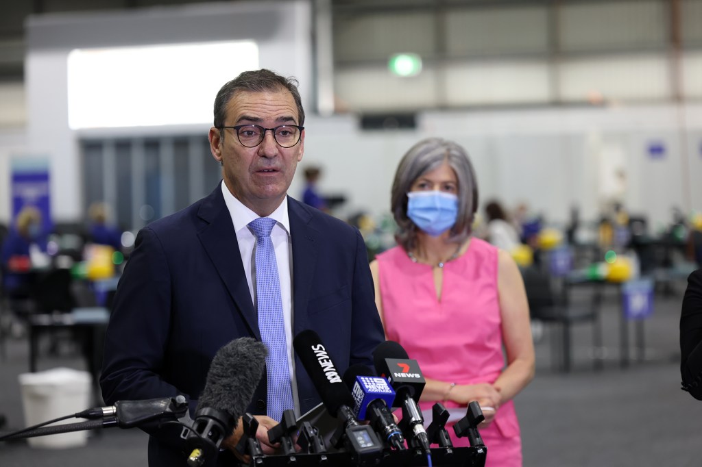 Thumbnail for SA records another 13 COVID deaths, 87 since pandemic hit
