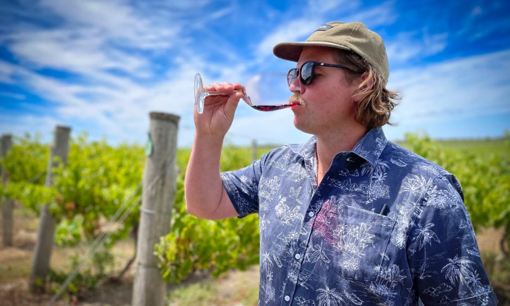 Thumbnail for Langhorne Creek grapes to make a splash in Victoria