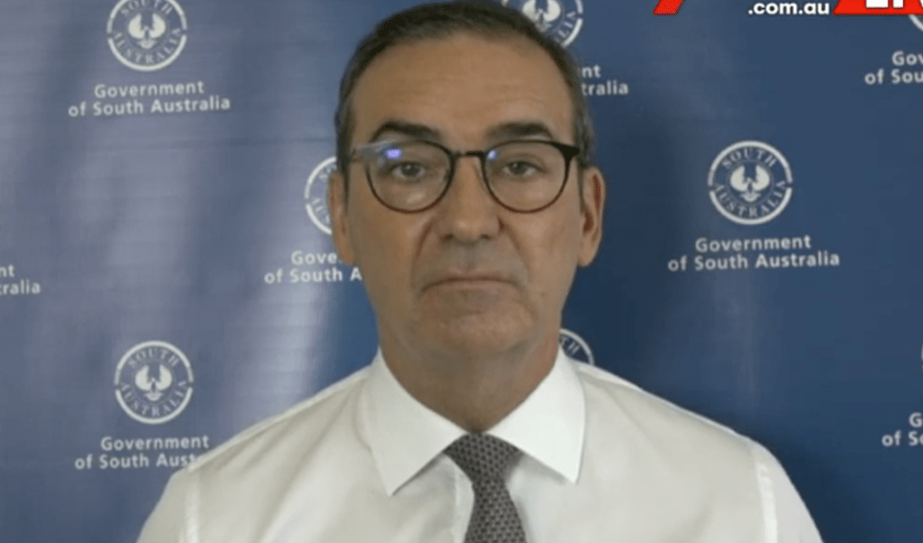 Thumbnail for Marshall says SA has ‘avoided disaster’