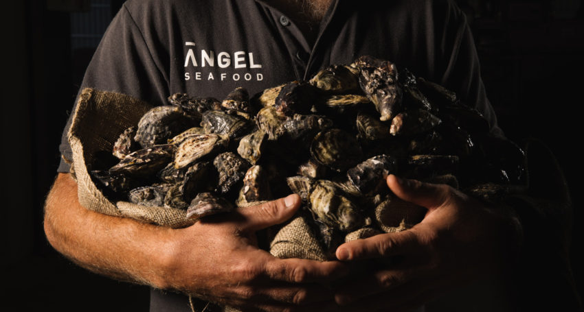 Thumbnail for Oyster company bounces back from Coffin Bay shutdown