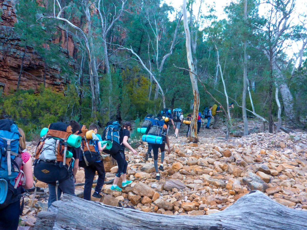 Thumbnail for COVID shuts classrooms as excursions and camps on hold
