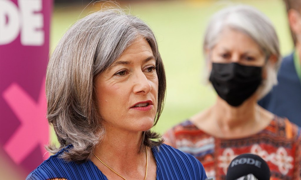 Chief public health officer Professor Nicola Spurrier. Photo: Tony Lewis/InDaily