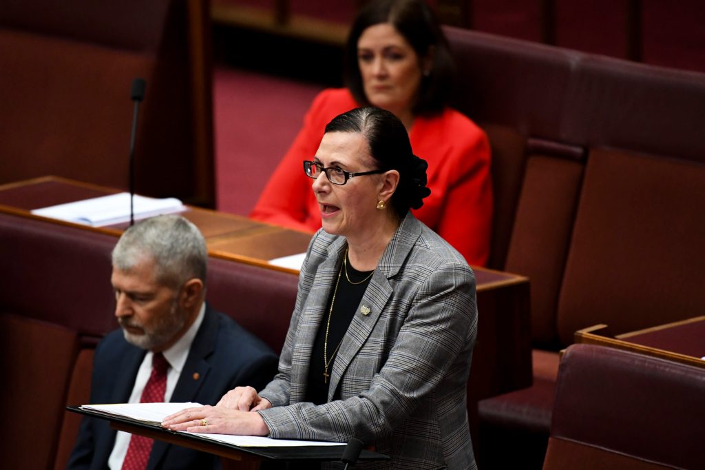 Thumbnail for ‘Unfit to be PM’: Lib senator attacks Morrison