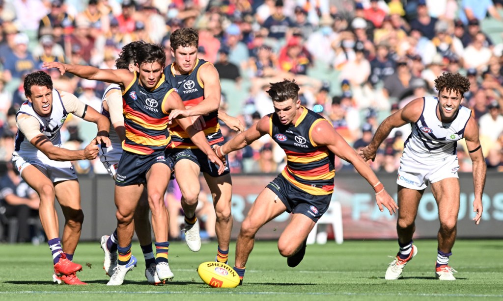 Thumbnail for ‘Gutted’ Crows regroup after Freo loss