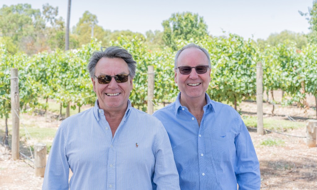 Thumbnail for Shingleback on market as winemaker brothers look to move on