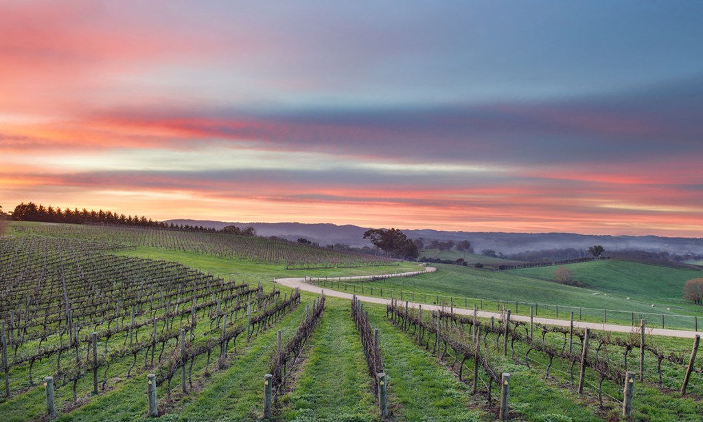 Thumbnail for Hills tourism project brings luxury to The Lane
