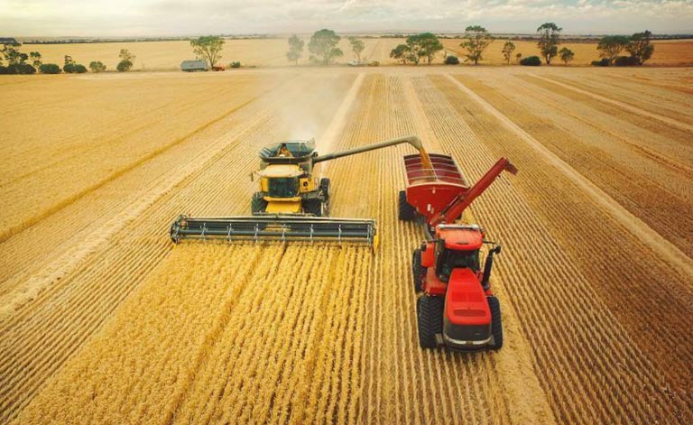 Rain is delaying harvest and raising concerns over verge vegetation causing fire risks over summer. Photo supplied