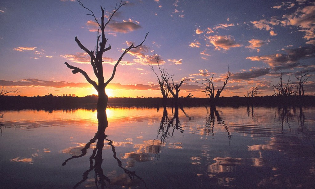 Dawn breaks over the River Murray near Waikerie. Photo: Tony Lewis/InDaily