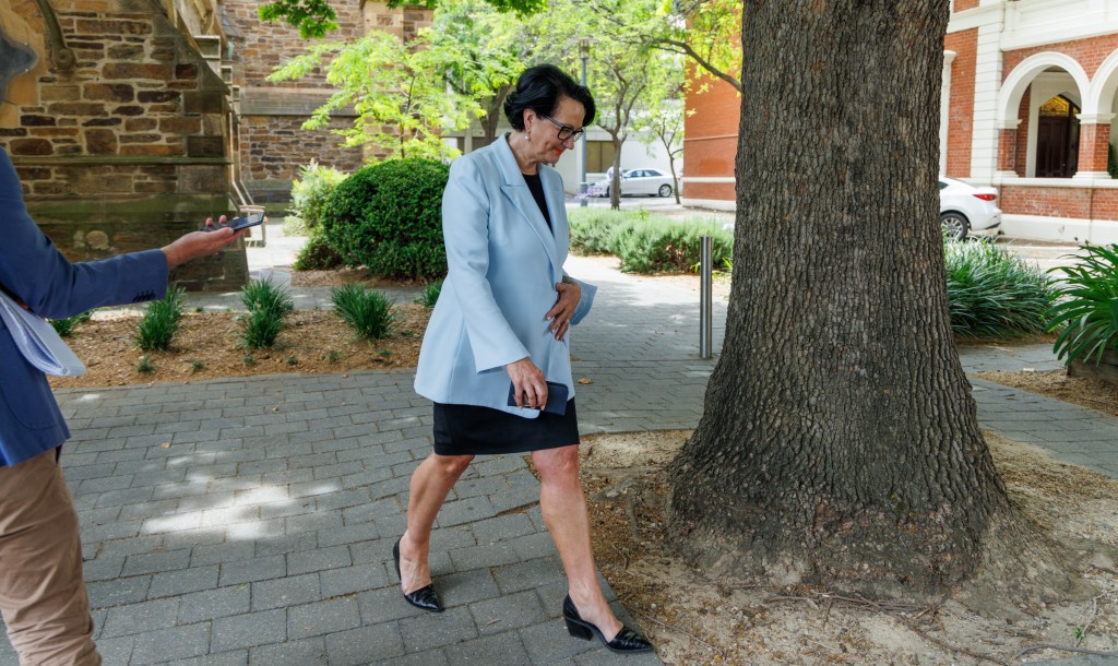 Thumbnail for Preselection contest looms for Libs’ most prized metro seat