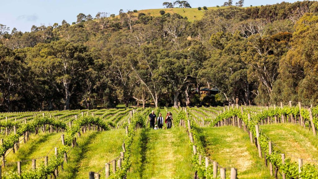 Thumbnail for Resilience is catch cry for Adelaide emergency event