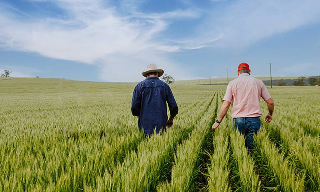 A positive winter cropping outlook has Elders confident about a strong second half of FY22. Picture: Elders 