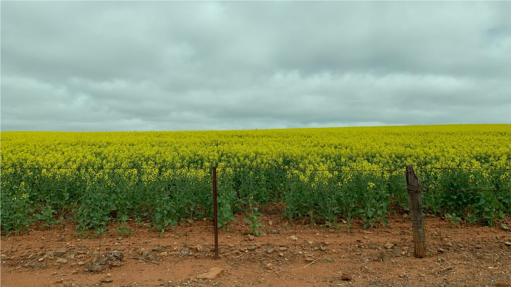 Thumbnail for Digging deep to uncover changes in Australian soil