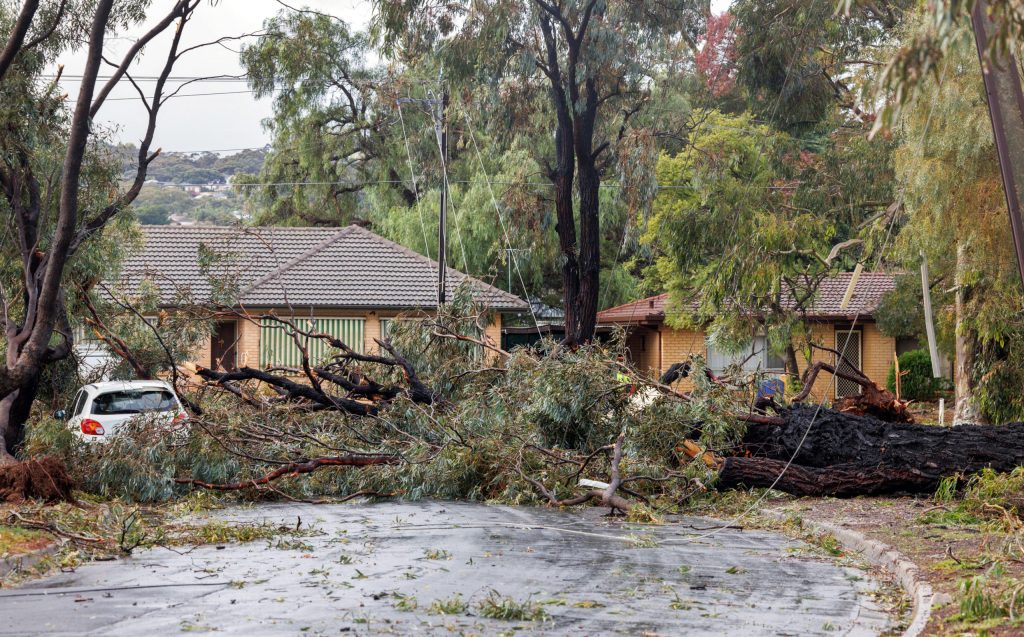 Thumbnail for ‘Mini tornado’ hits Adelaide homes during overnight deluge