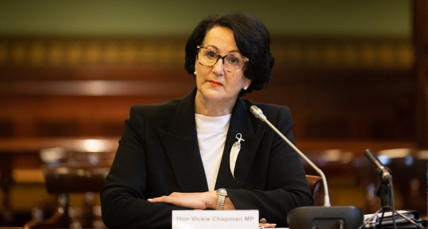 Vickie Chapman appears before a parliamentary select committee. Photo: Tony Lewis/InDaily