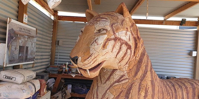 Thumbnail for Andamooka Tiger roars into opal town
