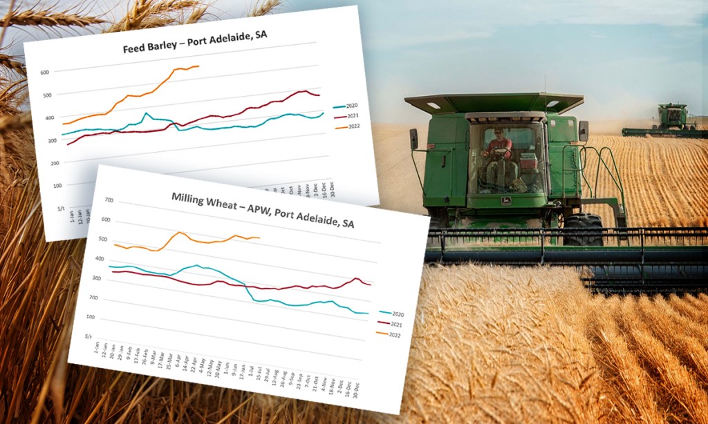 Thumbnail for Farmers reap bonanza of rain and record prices