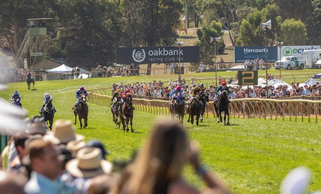 Thumbnail for New legal challenge looms as racing rebels reject ‘flawed’ Oakbank ballot