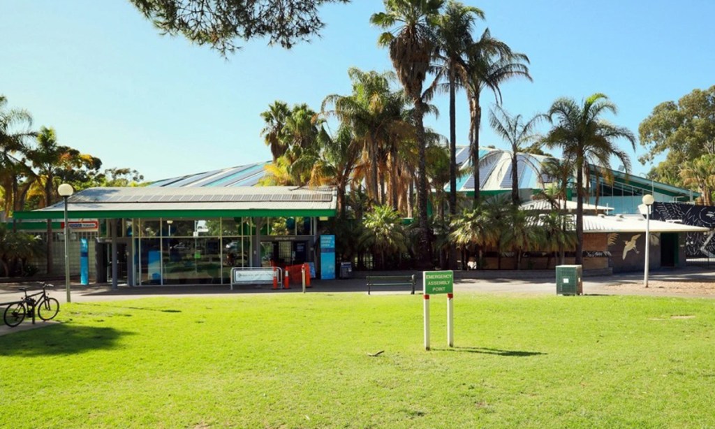The state government has promised to replace the ageing aquatic centre in North Adelaide's park lands. Photo: Tony Lewis/InDaily 