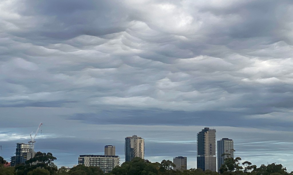 Photo: Tony Lewis/InDaily