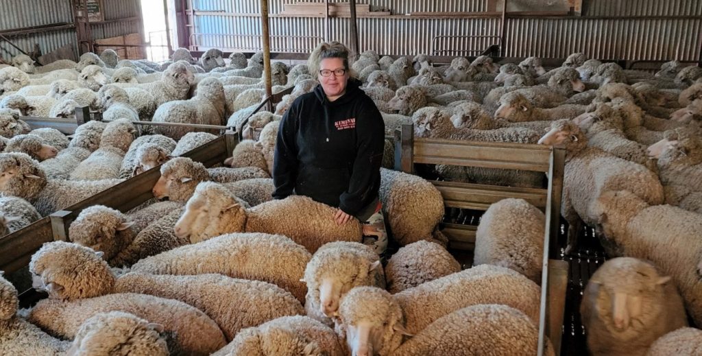Thumbnail for Rethinking the shearing shed hierarchy