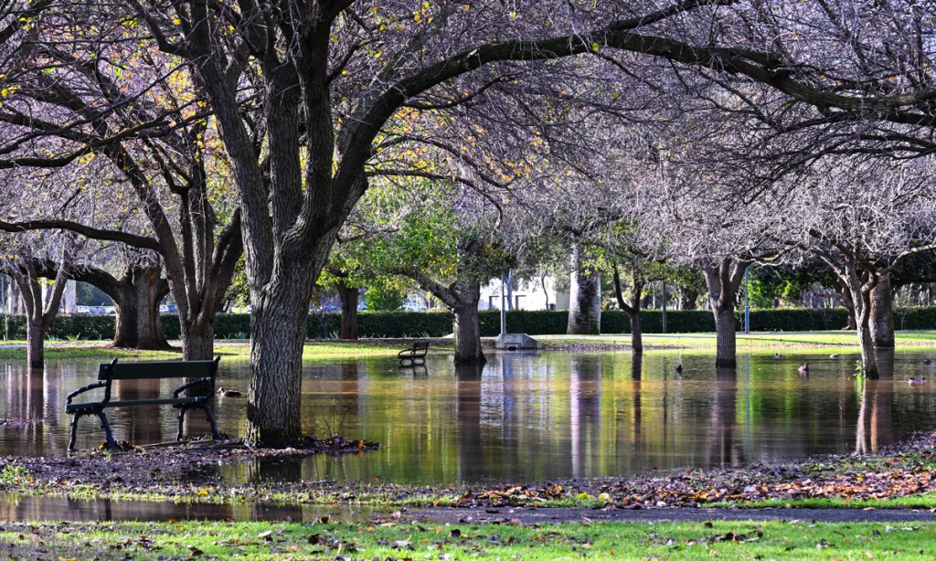 Flooding in the South Parklands this morning following the weekend downpour. Picture: Michael Errey.