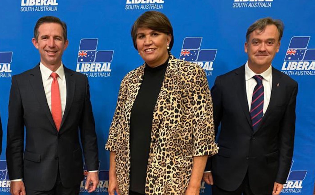 Thumbnail for No SA senate seat for One Nation as Lib makes history