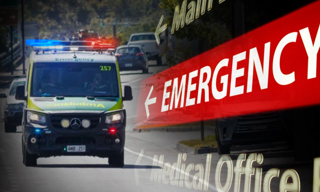 Thumbnail for ‘It isn’t safe’: Health system under siege as minister holds crisis talks
