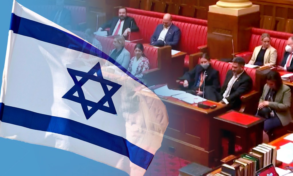 Thumbnail for Upper House recognises antisemitism definition