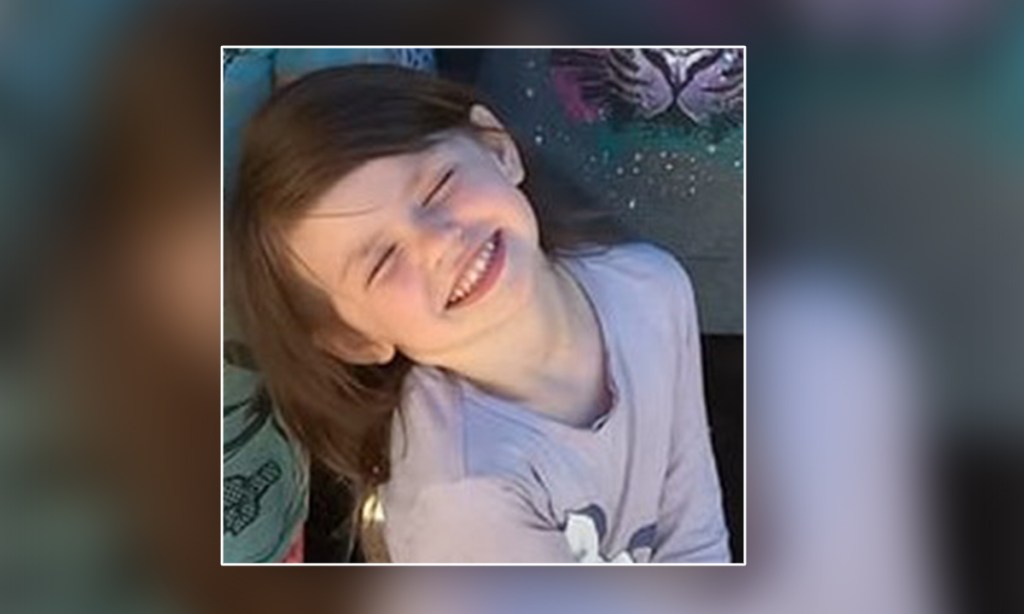 Thumbnail for Investigations seek details of govt contact with alleged child neglect case