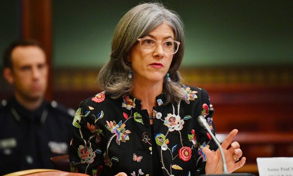 Chief public health officer Professor Nicola Spurrier in parliament in 2020. Photo: David Mariuz/AAP