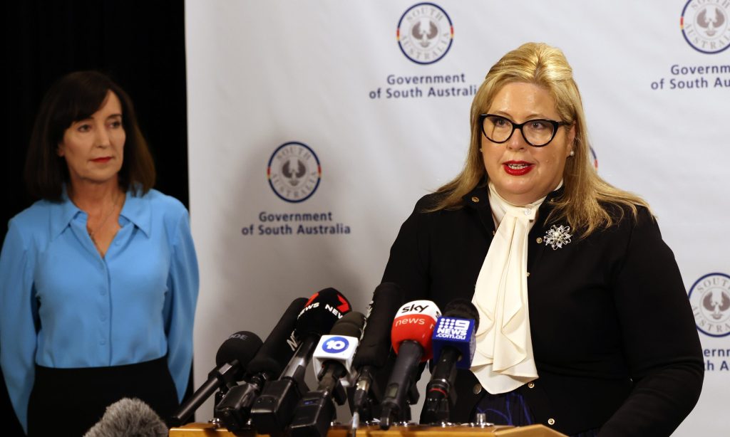 Minister for Women and the
Prevention of Domestic and Family Violence Katrine Hildyard. Photo: Tony Lewis/InDaily