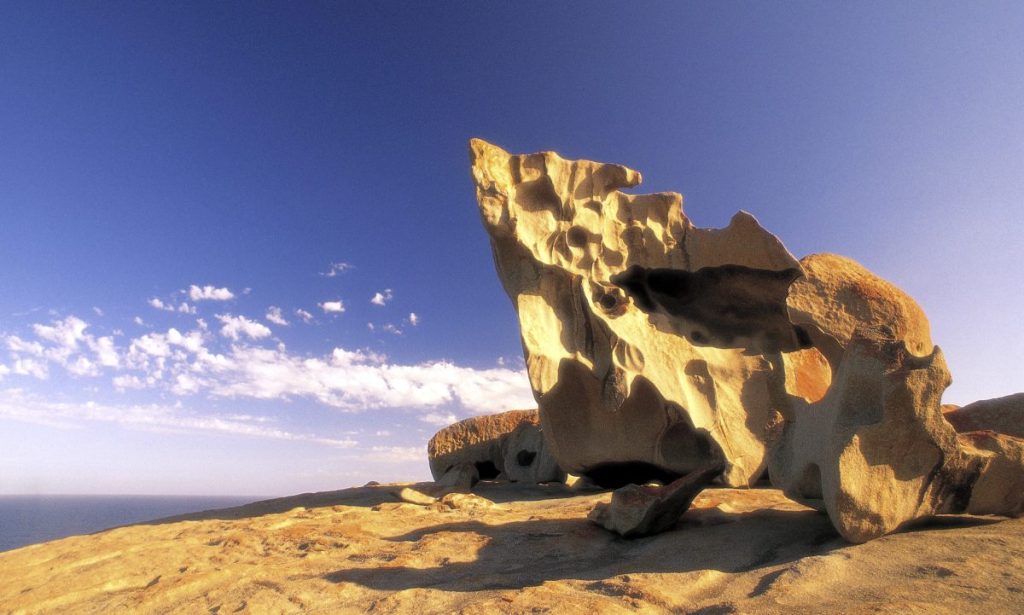 Thumbnail for SA Tourism Commission names interim CEO