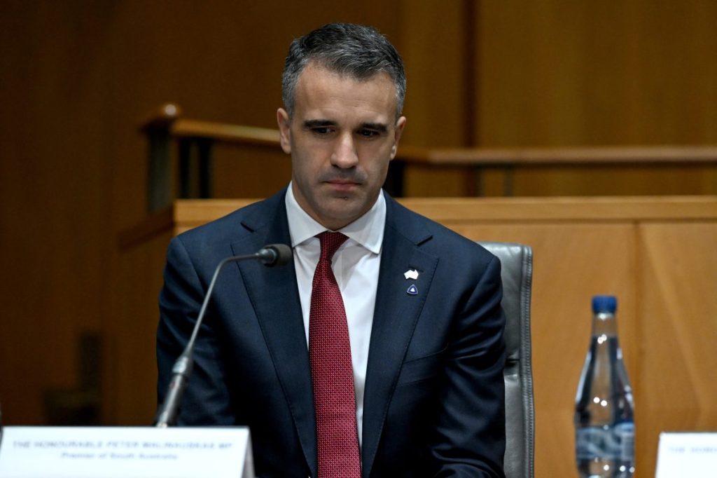 Thumbnail for Malinauskas to push for federal-funded pandemic leave to return