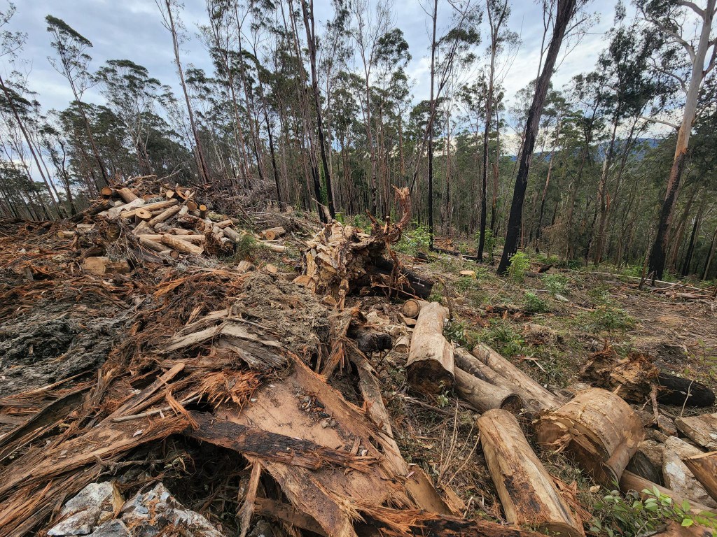 Thumbnail for We must act now to halt environmental decline