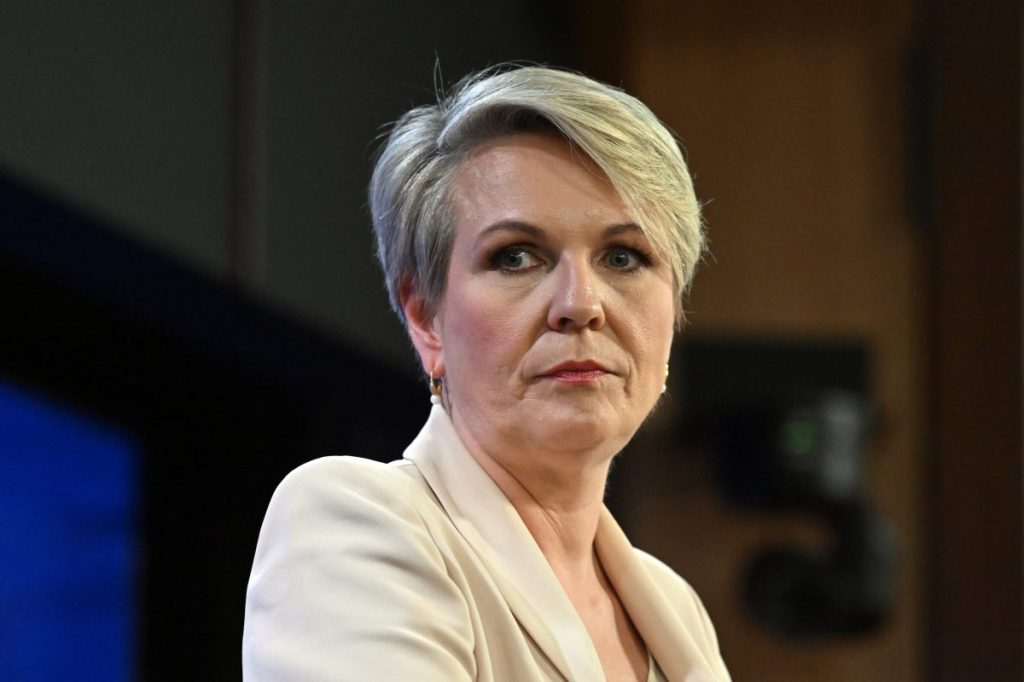 Environment and Water Minister Tanya Plibersek. Photo: AAP/Mick Tsikas