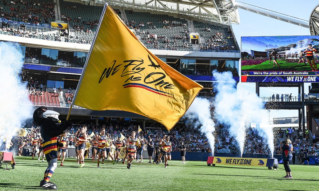 Our Fumbles correspondent has flown the coop. Photo: Michael Errey / InDaily