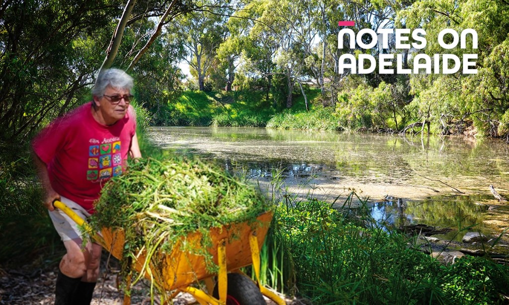 Thumbnail for Notes on Adelaide podcast: Beyond the Backyard