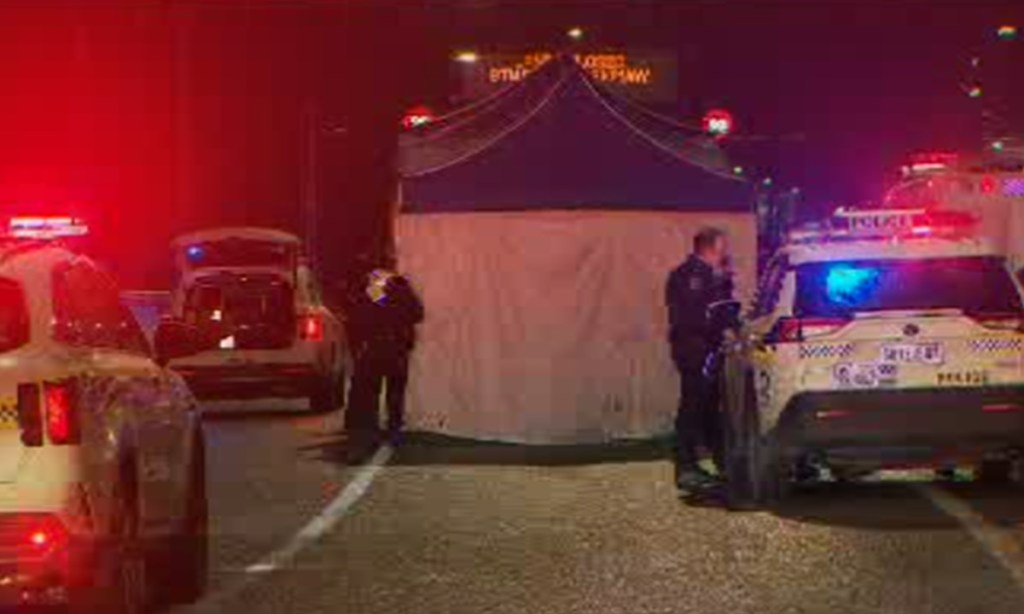 Police were called to the North South Motorway at Wingfield shortly before 11.30 last night. Photo: 10 News First Adelaide
