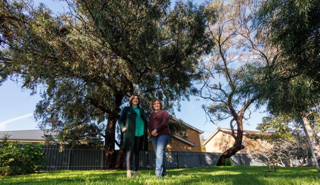 Thumbnail for Govt buys suburban block to save significant trees
