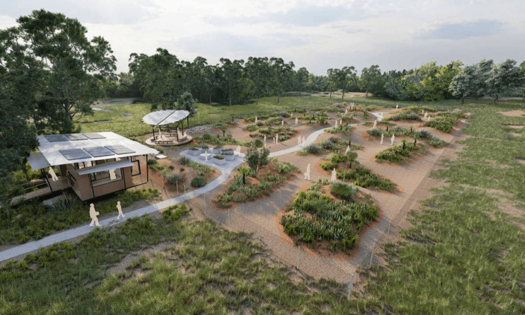 Thumbnail for Kangaroo Island’s native seed garden safeguards against extinction