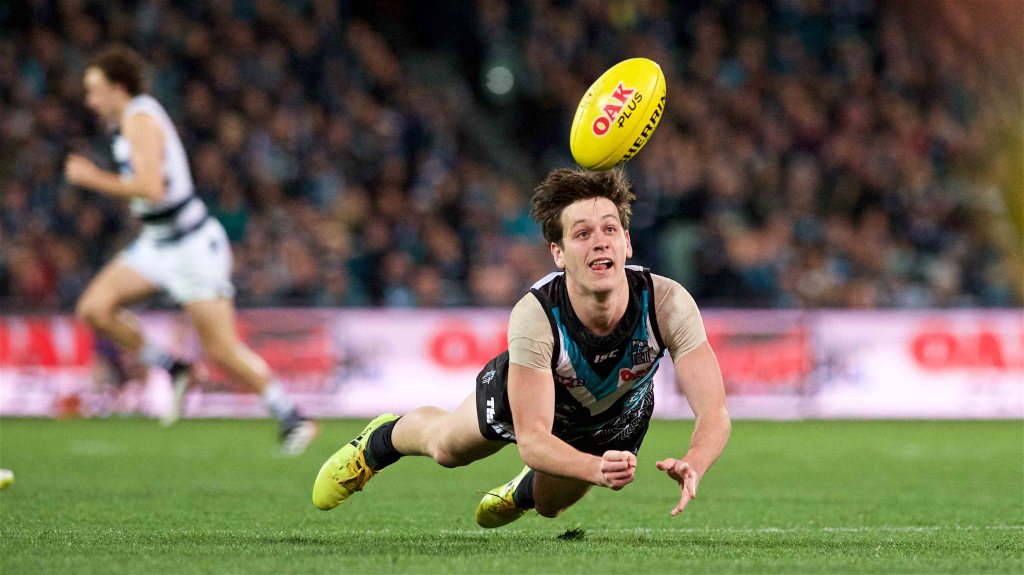 Thumbnail for Butters backs Hinkley to stay at Port