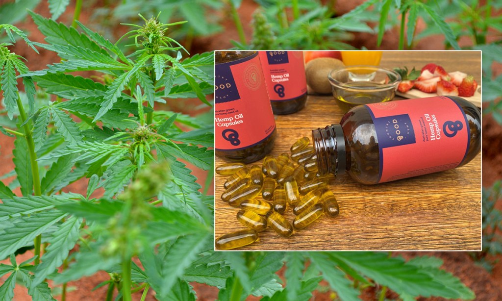Thumbnail for Truck stop hemp oil helps drive niche SA industry