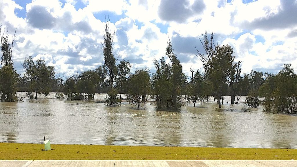 Thumbnail for Flooding plains as River Murray hits six-year flow peak