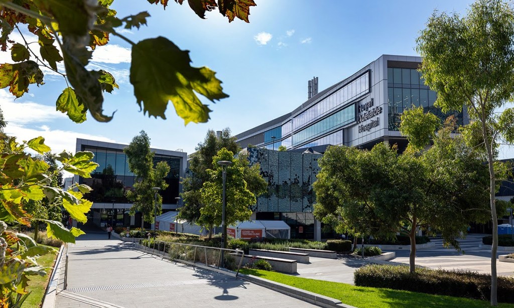 Thumbnail for ‘Mismanaged culture’ at Adelaide hospitals, doctors tell ICAC