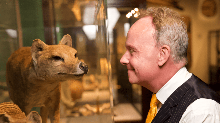 Thumbnail for SA Museum director resigns