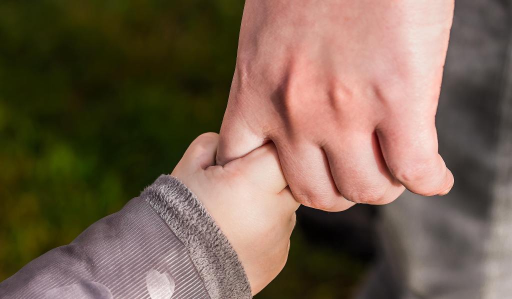 Thumbnail for Hundreds of SA foster carers speak out during inquiry