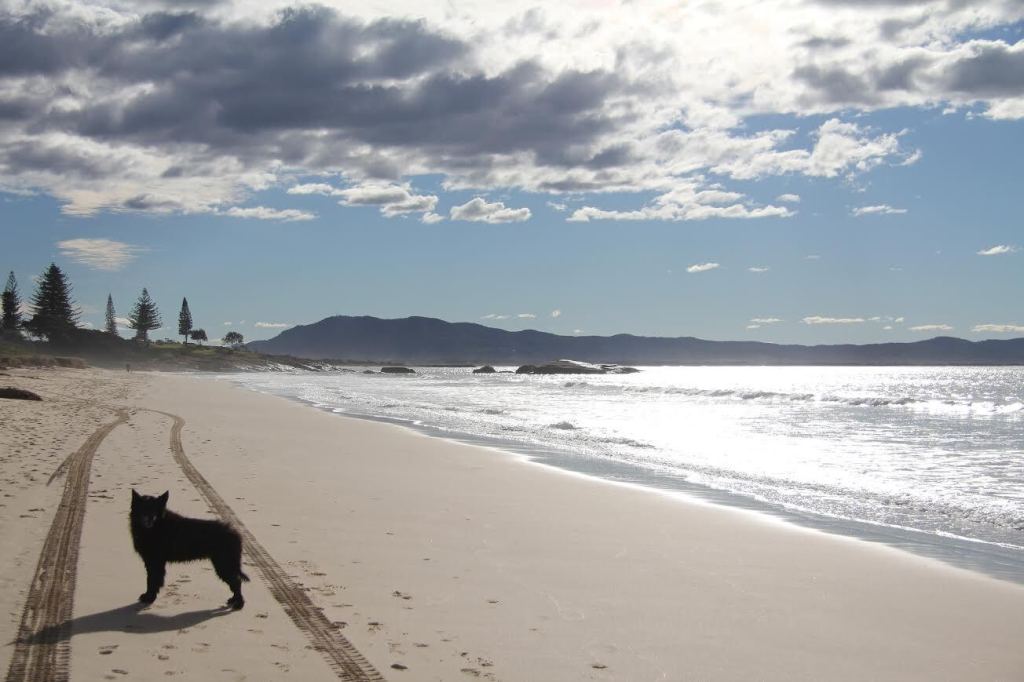 Thumbnail for Ex-pro surfer dies after pub punch