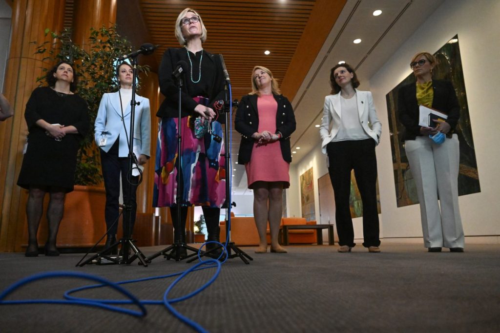 Thumbnail for No rubber stamp for integrity bill