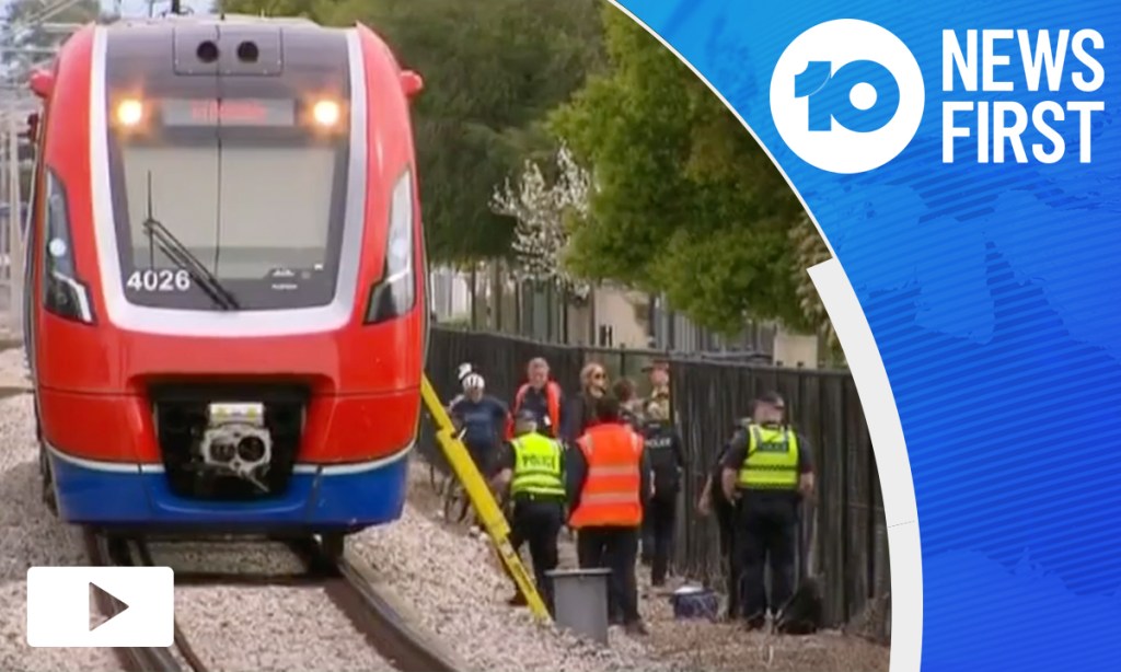Thumbnail for VIDEO: Train kills woman and her dog at Black Forest