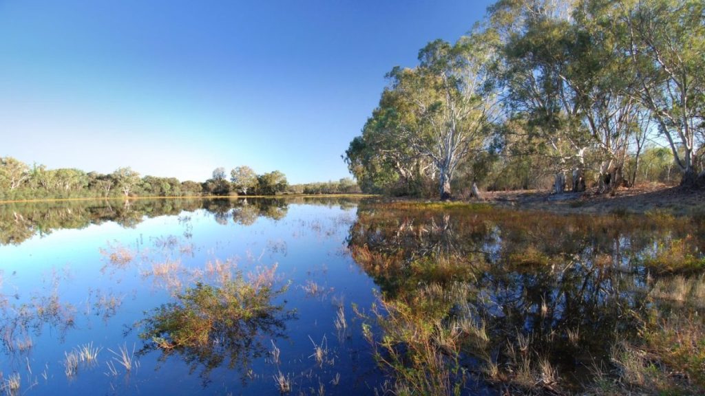 Thumbnail for Hopes Murray Darling Basin Plan holds water for SA